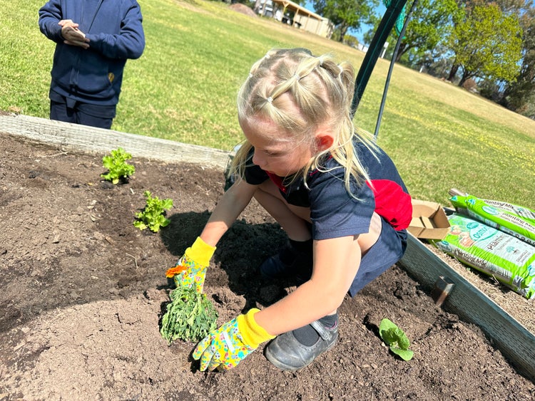 A student planting flowers in the garden.