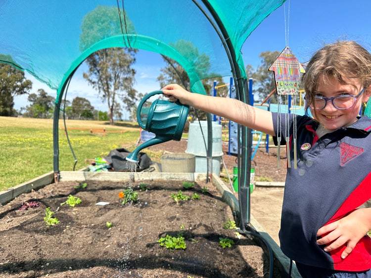 A student watering new plants in the garden.